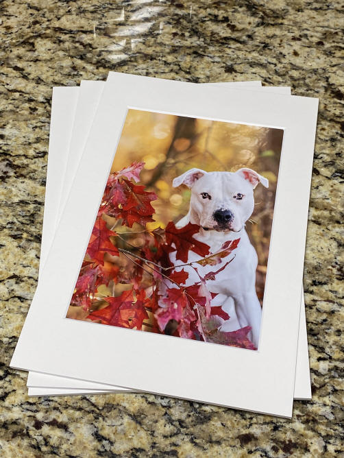 Matted Prints